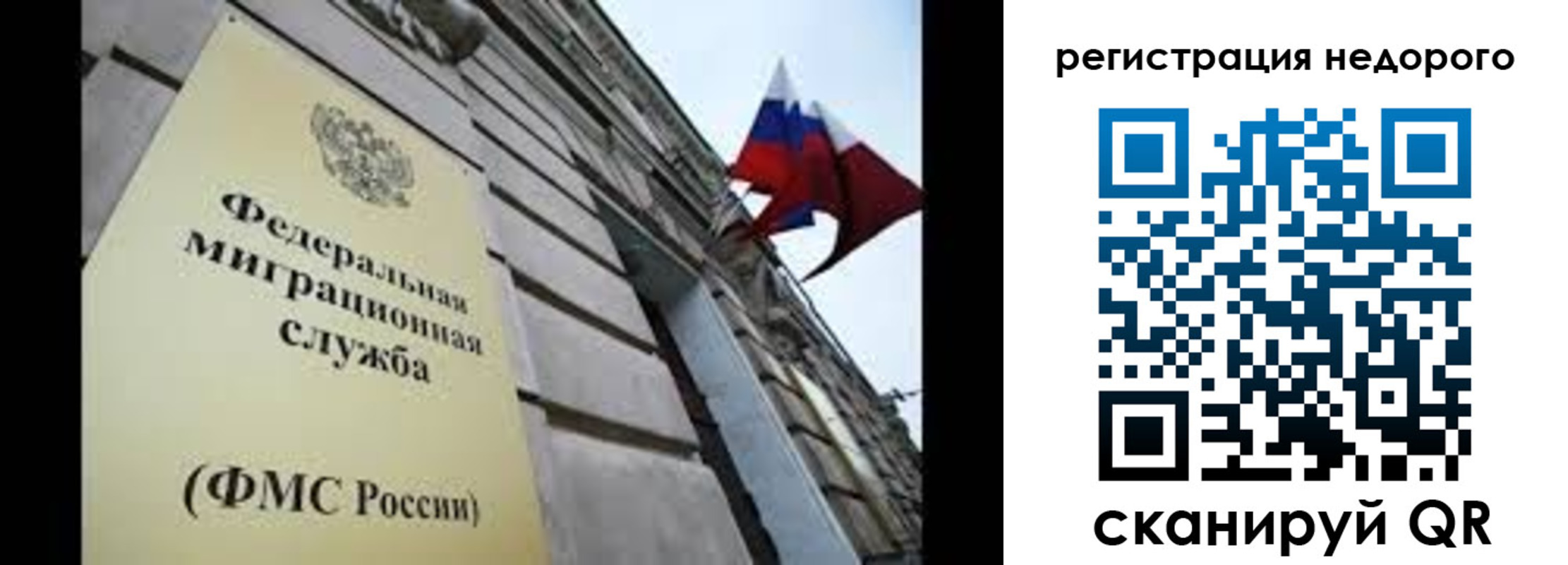прописка поиск в Балашихе